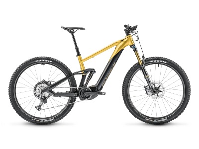 TRAIL 11 - Bosch 750wh