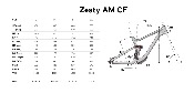 ZESTY AM Cf 7.9 Carbone